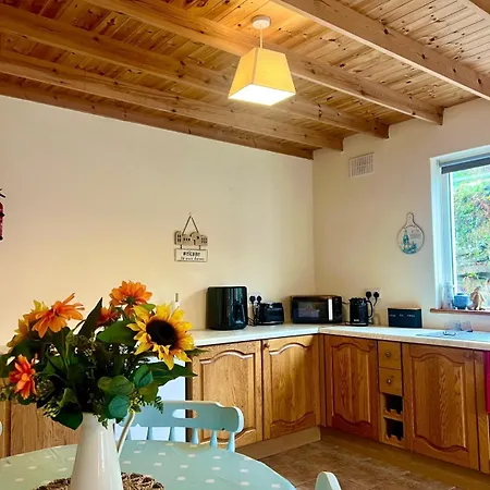 Hill View House Apartman Doolin