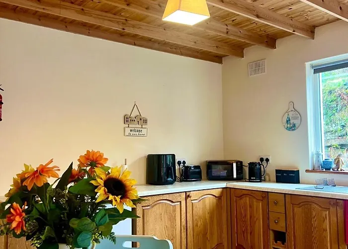 Hill View House Lejlighed Doolin