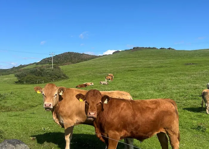 Lejlighed Hill View House Doolin